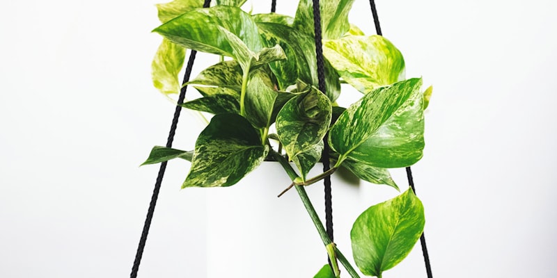 2026世界杯比赛趋势分析示意图 - 展示高压逼抢与定位球战术场景